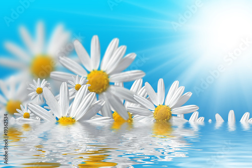 Fototapeta Naklejka Na Ścianę i Meble -  Spring flowers background