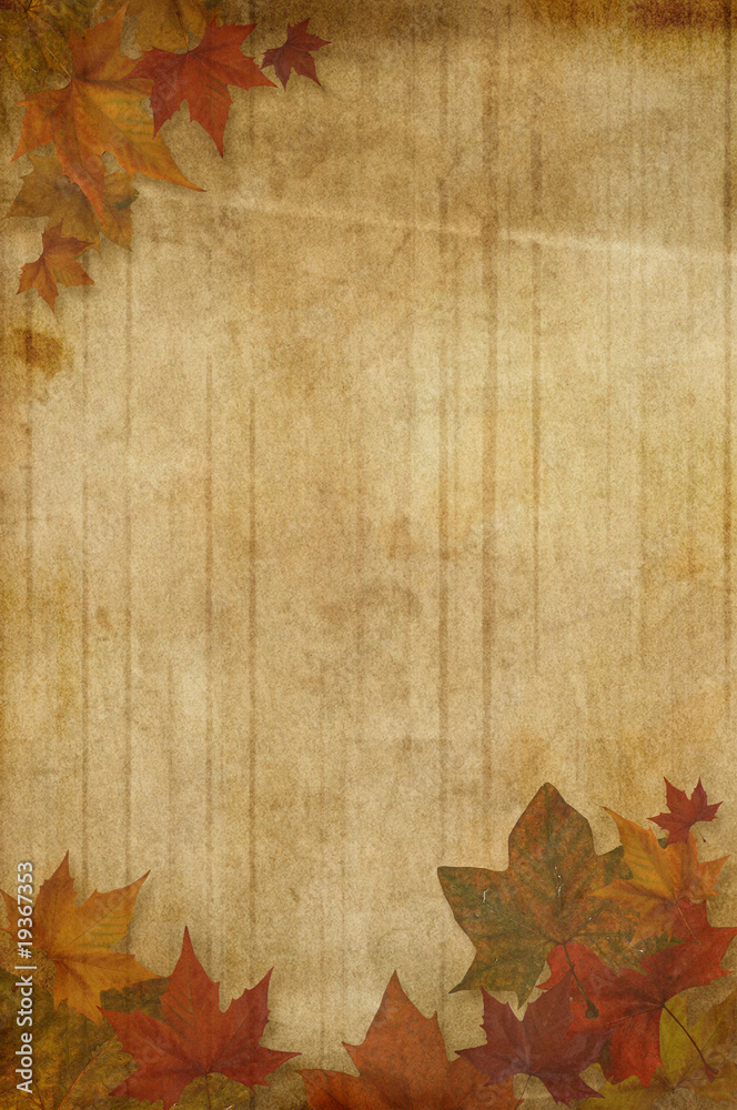 Fototapeta premium Autumn background