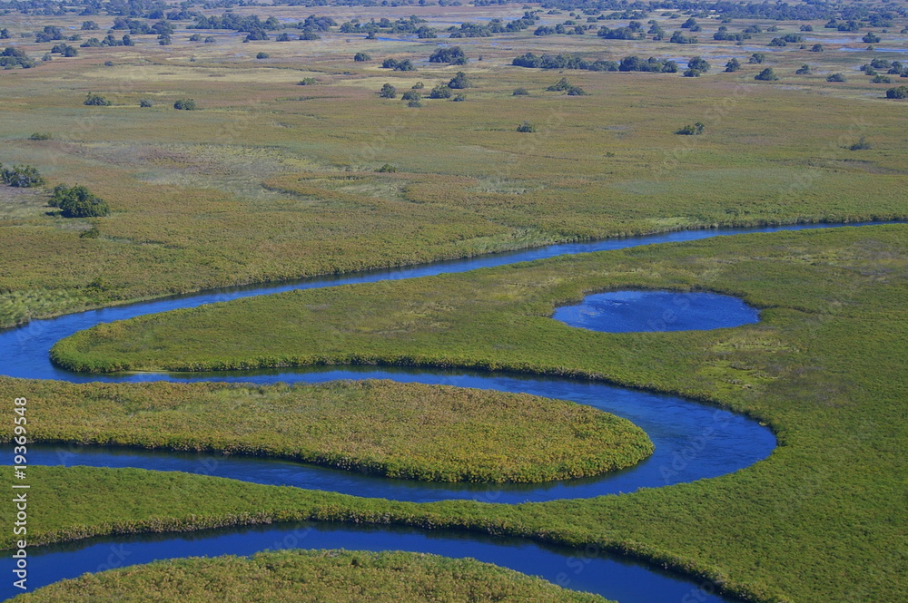 Obraz premium Okavango Delta