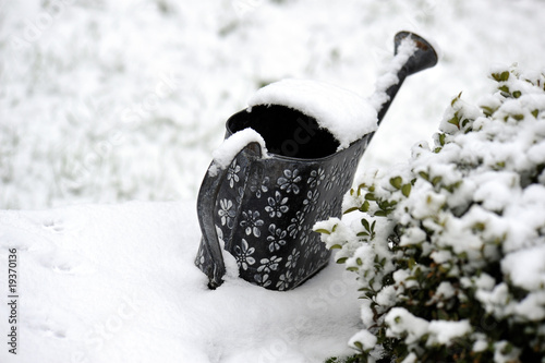 inverno photo