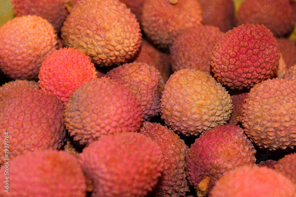 litchi litchi