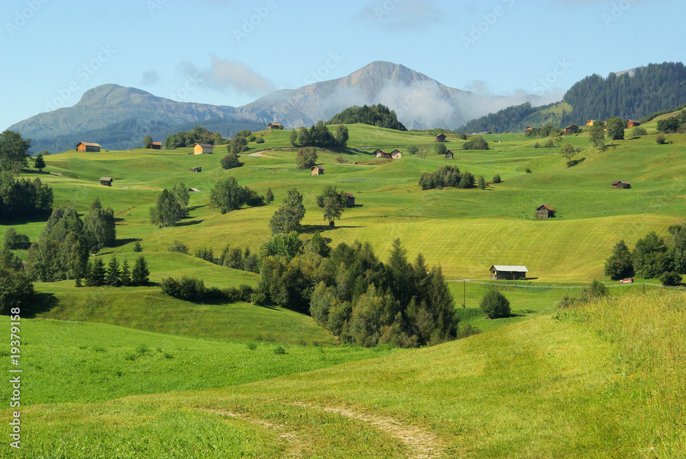 Obraz premium Fiss Alm - Fiss alp pasture 04