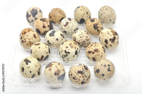 quail eggs