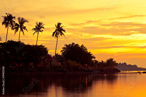 Coconut palms on sand beach in tropic on sunset © Denis Babenko