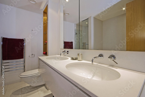 luxury double bath room