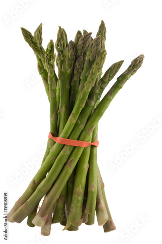 asparagus spear photo