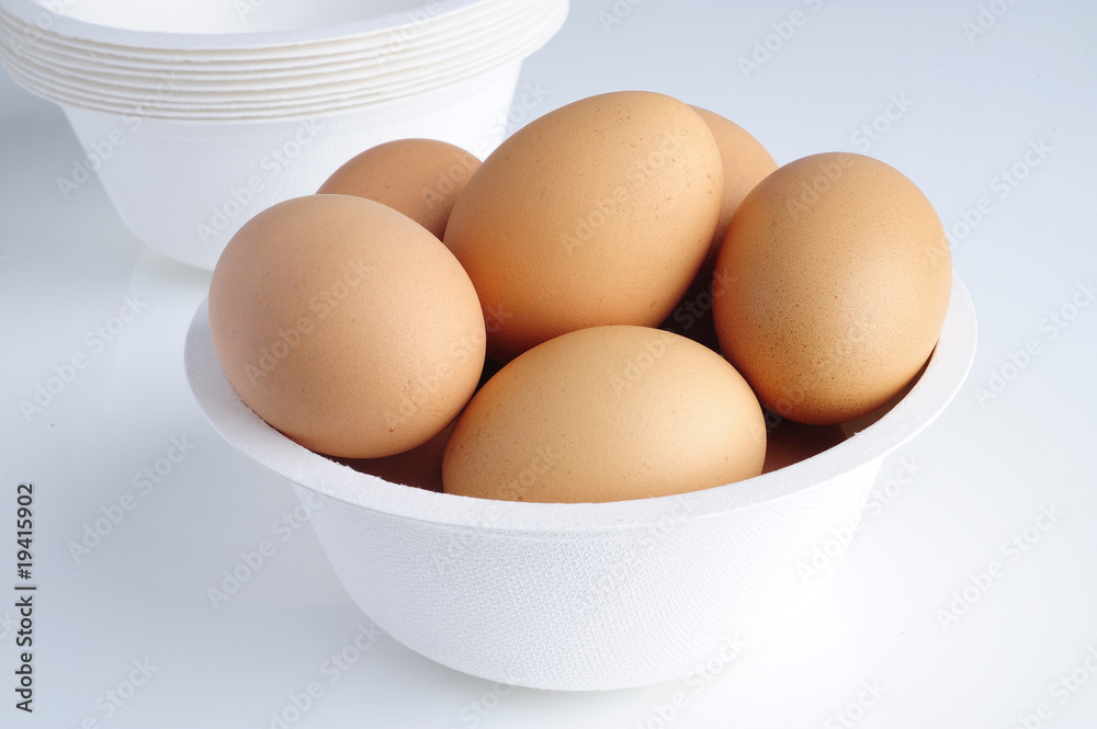 egg in bowl egg in bowl