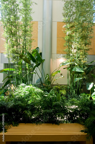 Canvas Print a green atrium