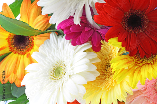 Fototapeta Naklejka Na Ścianę i Meble -  bouquet fleurs gerbera