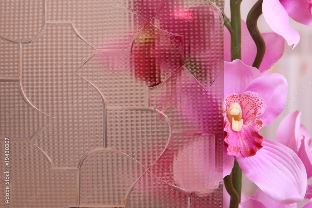 Orchid behind the stained glass