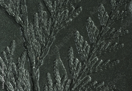 Floral imprint