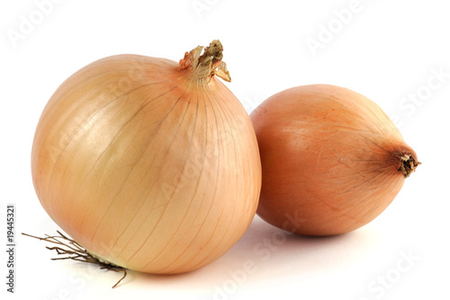 Wallpaper Mural Yellow onion Torontodigital.ca