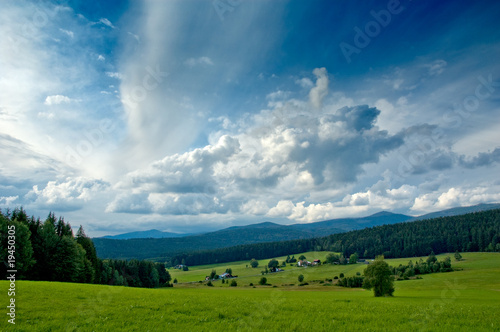 Wallpaper Mural Field of grass and perfect blue sky Torontodigital.ca