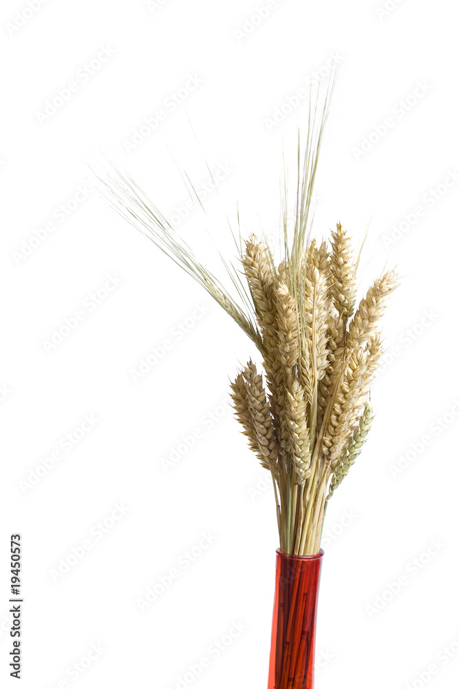 Fototapeta premium decortaion vase wheat