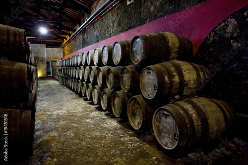 Photo Burmester winery, Porto, Douro Province, Portugal