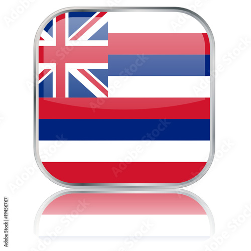 Hawaii State Square Flag Button (Hawai Hawaiian USA Vector Web) © treenabeena
