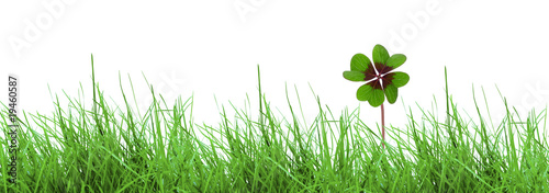 Vierblättrigers Kleeblatt