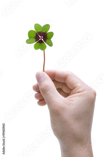 Vierblättrigers Kleeblatt