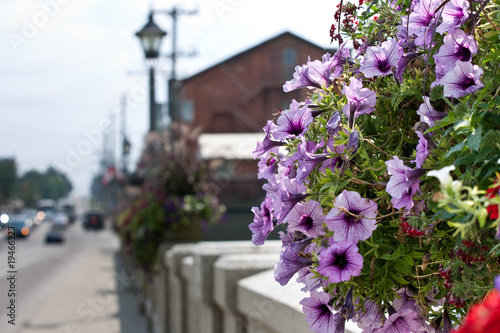 Hanging flower basket on a bridge photo