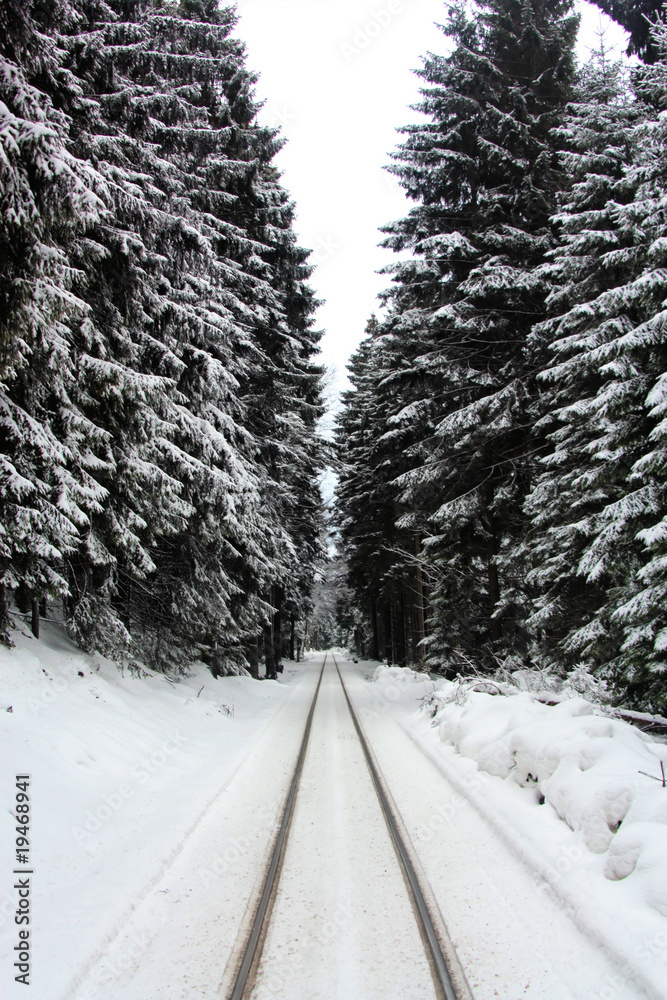 Fototapeta premium Winterbahn