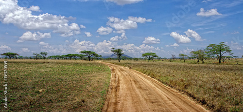 Fotografija Serengeti Panorama
