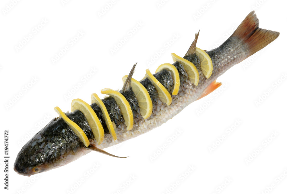 Preparation of baked fish on the white background Preparation of baked fish on the white background