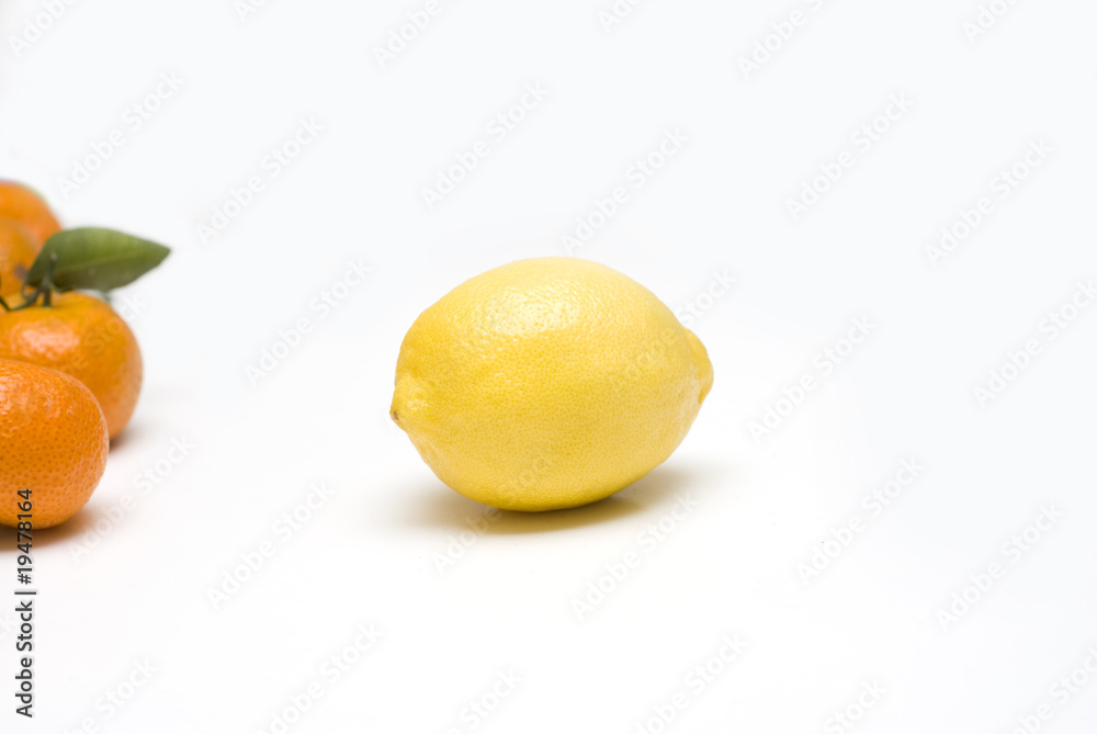 single lemon in white backgrounds with oranges