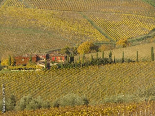 tuscan farmhouse surrounded by vineyards,Chianti, Italy
