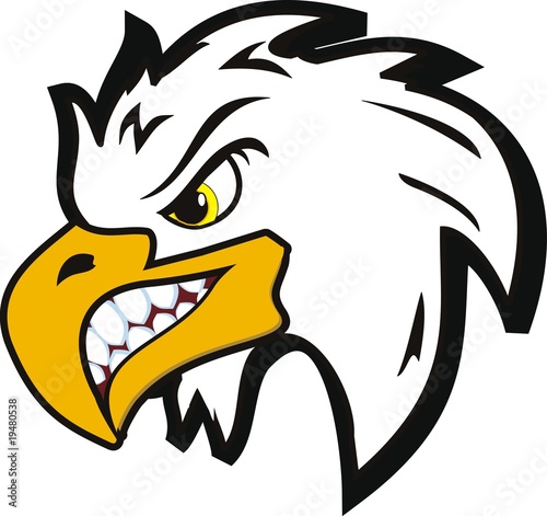 illustration of vector angry head eagle