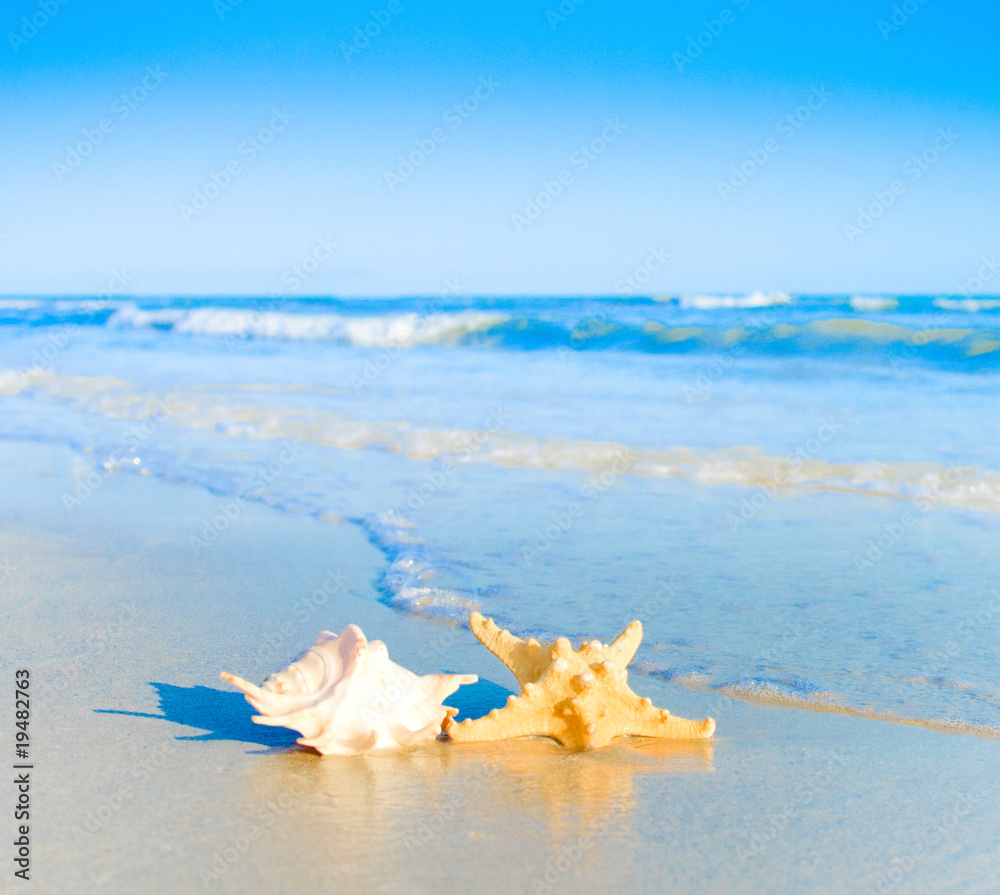 sea landscape sea landscape