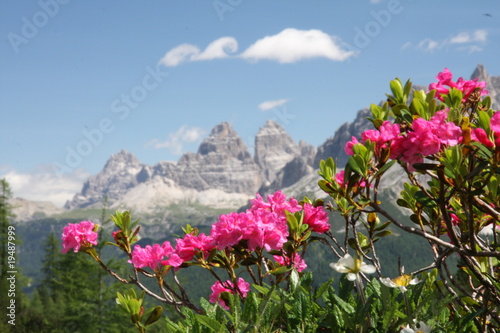 Tre cime di Lavaredo