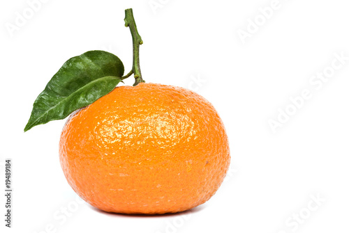 Honey Tangerine