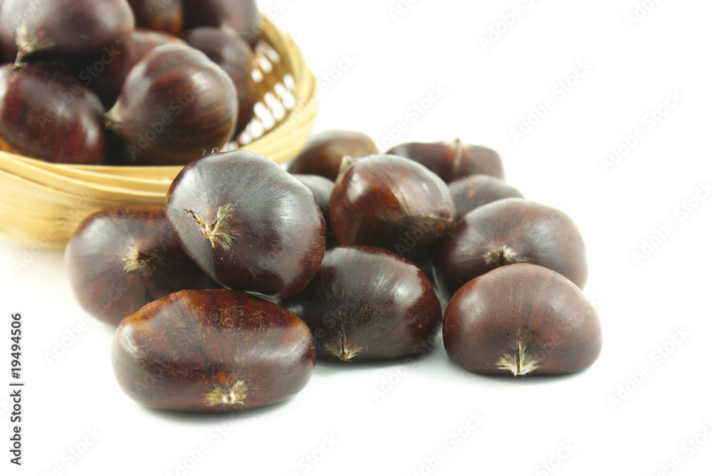 Fototapeta premium chesnuts
