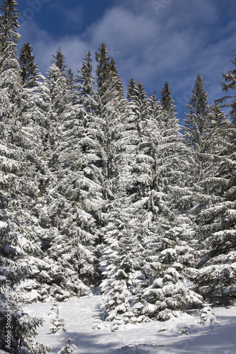 winterlandschaft