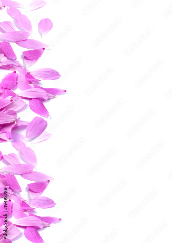 Fototapeta premium Flowers