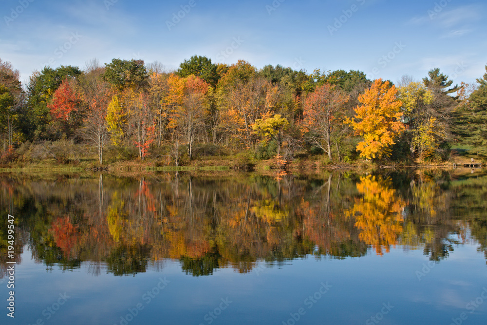 Autumn Color Leaves on Lake Autumn Color Leaves on Lake