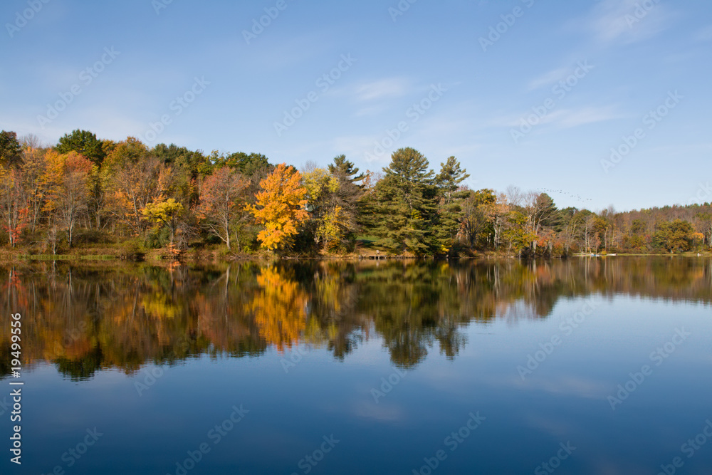 Autumn Leaves in the Catskill Mountains Autumn Leaves in the Catskill Mountains