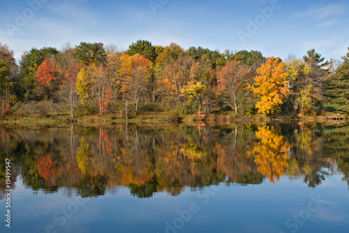 Autumn Color Leaves on Lake