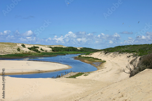 Landes Moliets réserve naturelle courant d'Huchet