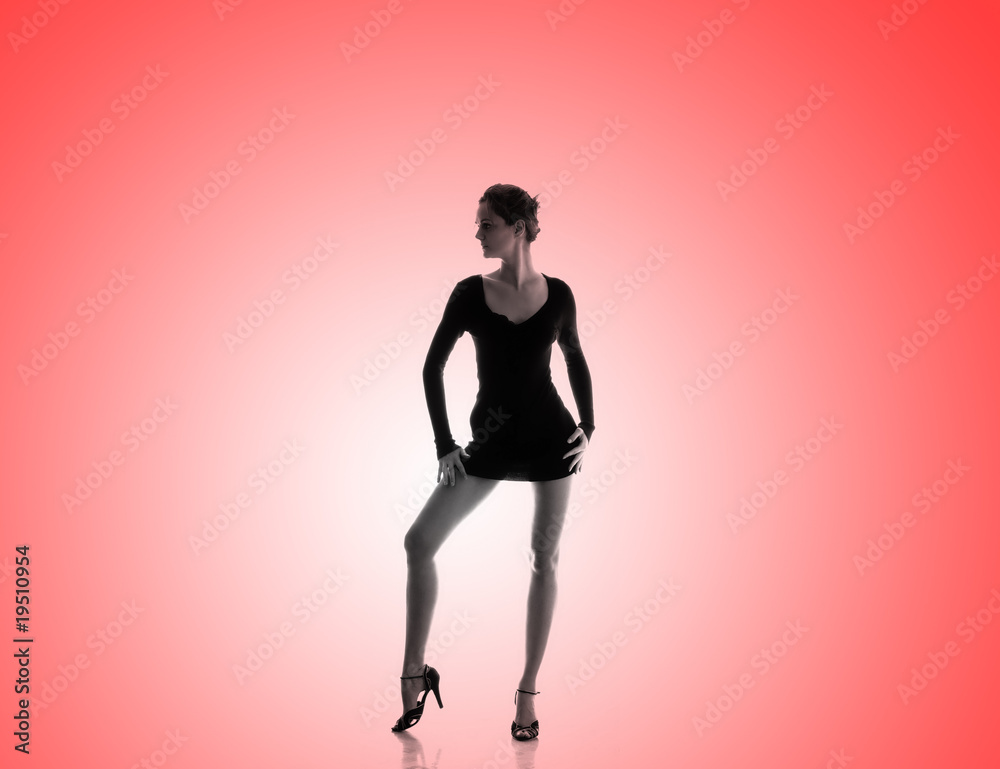 Outlines of a beautiful young woman Outlines of a beautiful young woman