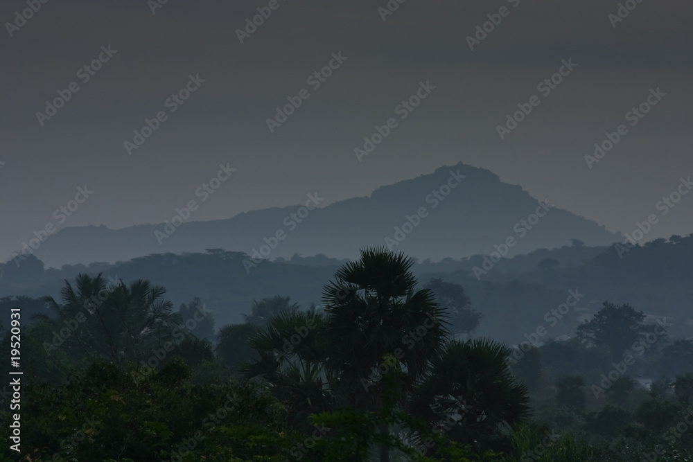 Obraz premium Trees and Hills
