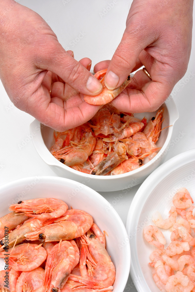 hold and prepare some organic prawns to eat