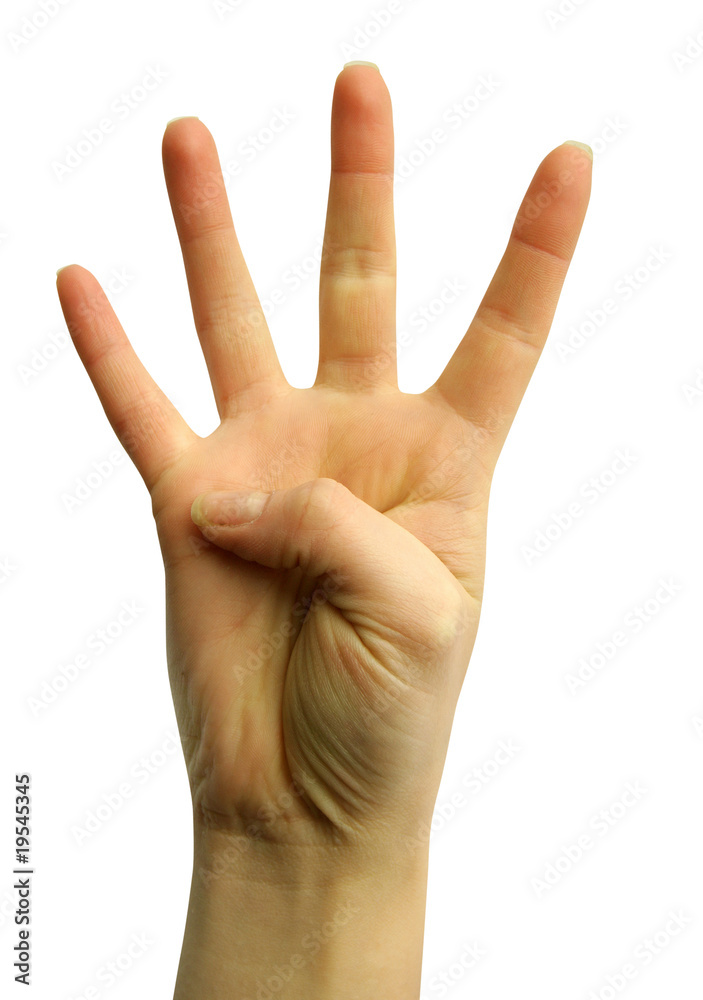 Fototapeta premium hand