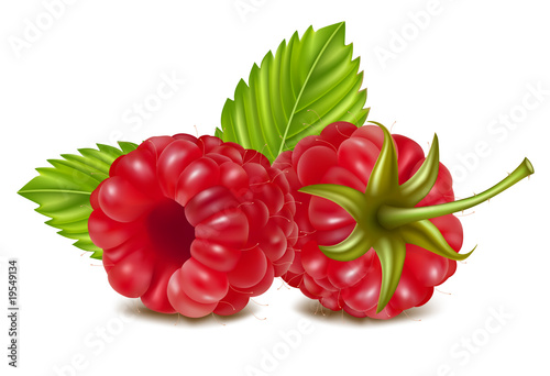 Vector illustration of ripe raspberry.