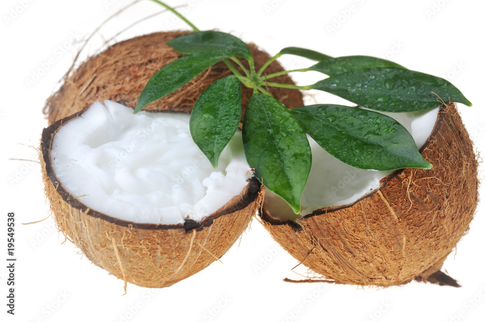 coconut and leaves coconut and leaves