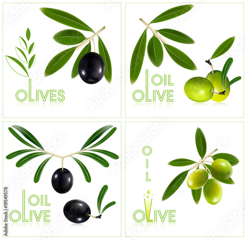 Green olives with leaves.