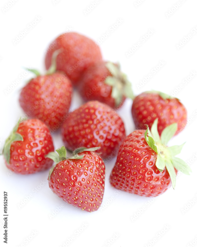 erdbeere