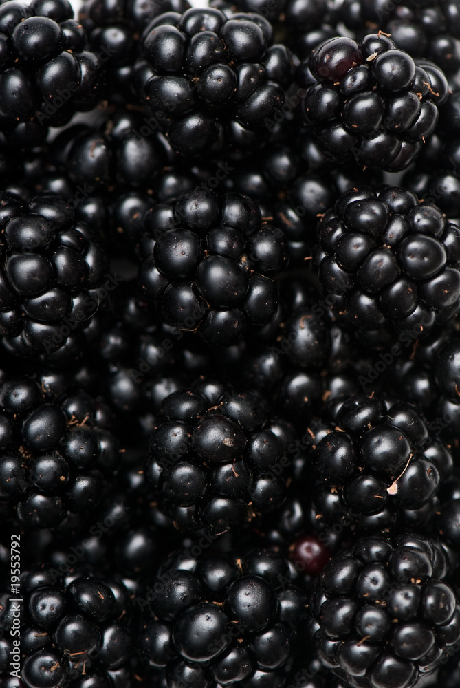 blackberry blackberry