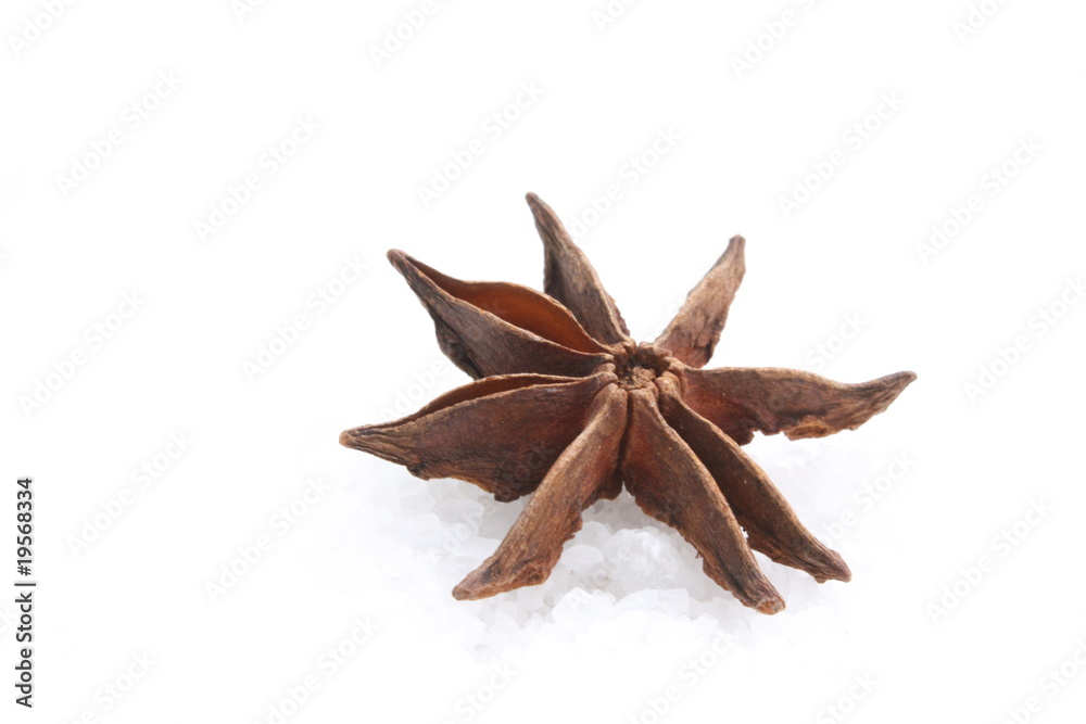Star anise / 八角