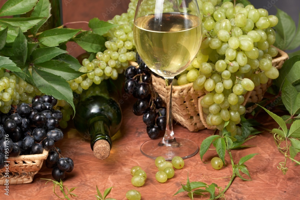 White dry wine, fresh clusters of a grapes